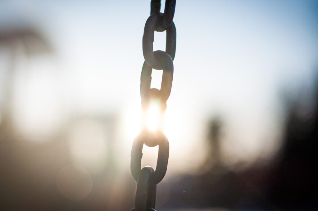 Supply Chain Management: How to Identify and Strengthen Your Weakest Link